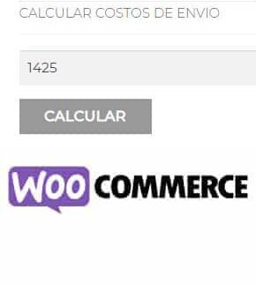 Mostrar métodos de envío en el producto